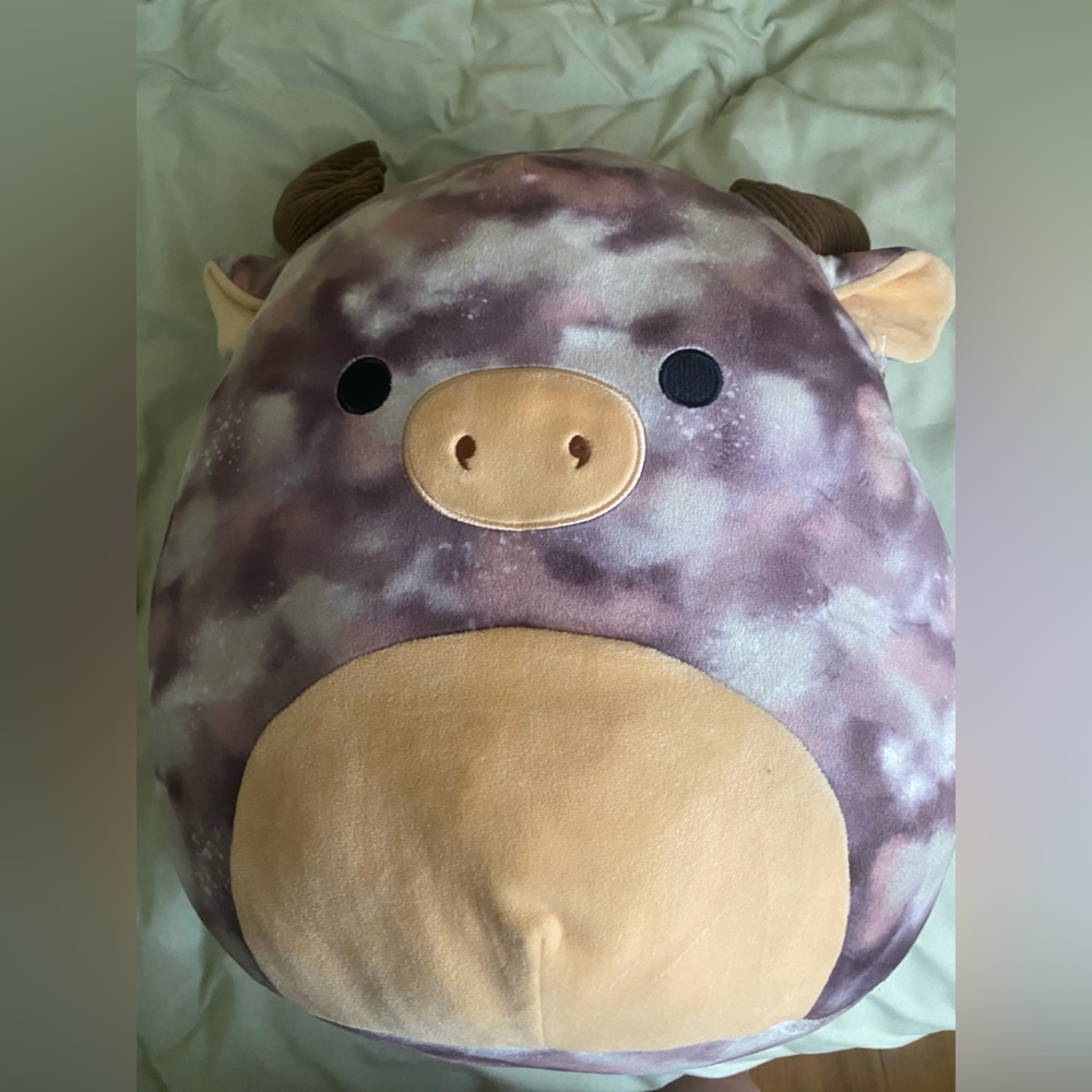 “Rufus” squishmallow